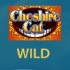 the cheshire cat wild symbol