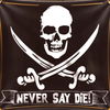 the goonies flag symbol