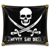 the goonies hey you guys pirate flag symbol