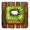 tiki runner 2 doublemax kiwi symbol