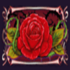 vampire desire rose symbol