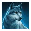 vikings fortune hold and win wolf symbol