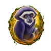 volcano eruption monkey symbol