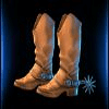 western gold boots symbol