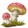 wild wild riches mushroom symbol