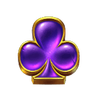 wild wild riches purple symbol