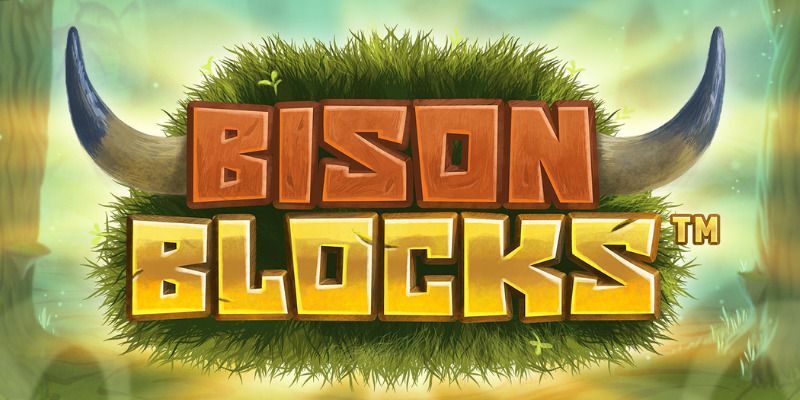 Slot Bison Blocks