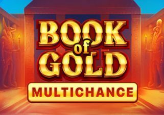 Slot Book Of Gold Multichance