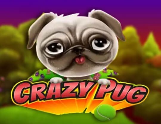 Slot Crazy Pug