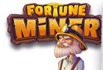 Slot Fortune Miner