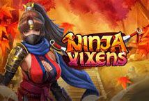 Slot Ninja Vixens