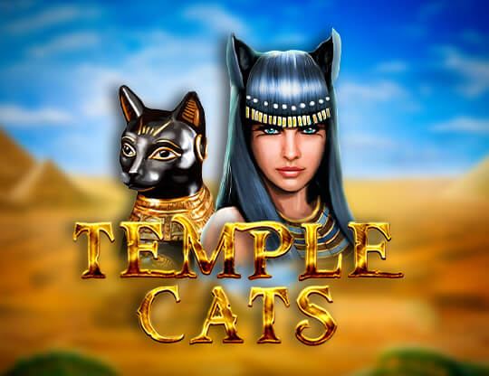 Slot Temple Cats