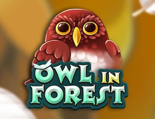 Slot Owl In Forest