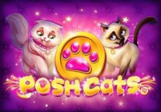 Slot Posh Cats