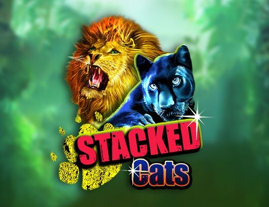 Slot Stacked Cats