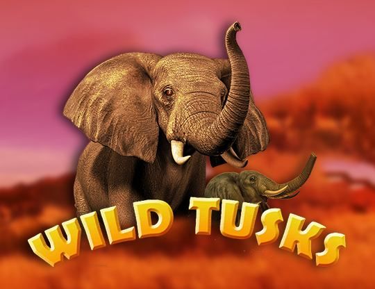 Slot Wild Tusks