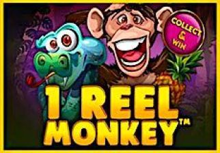 Slot 1 Reel Monkey