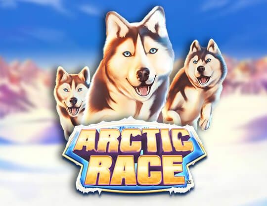 Slot Arctic Race