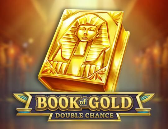 Slot Book Of Gold: Double Chance