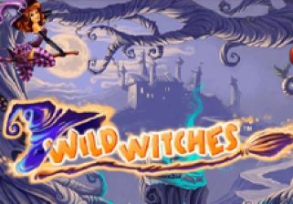 Slot Wild Witches