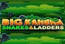 Slot Big Kahuna Snakes and Ladders