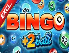 Slot Bingo 2Ball