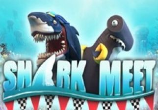 Slot Shark Meet