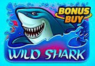 Slot Wild Shark Bonus Buy