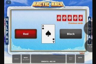 Screenshot Arctic Race 3 