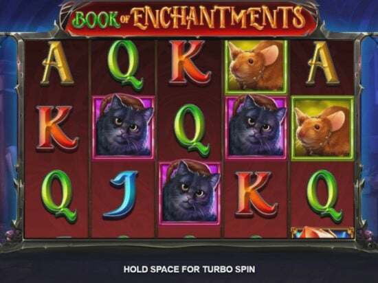 Screenshot Book of Enchantments 1 