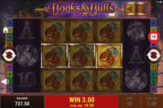 Screenshot Books and Bulls 2 