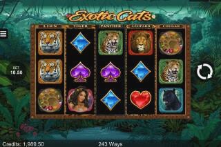 Screenshot Exotic Cats 1 