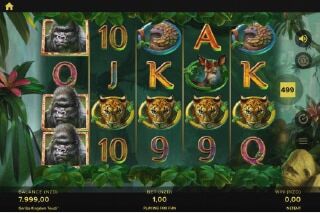 Screenshot Gorilla Kingdom 1 