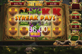 Screenshot Jungle Jackpots 4 