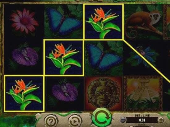 Screenshot Jungle Wild 5 