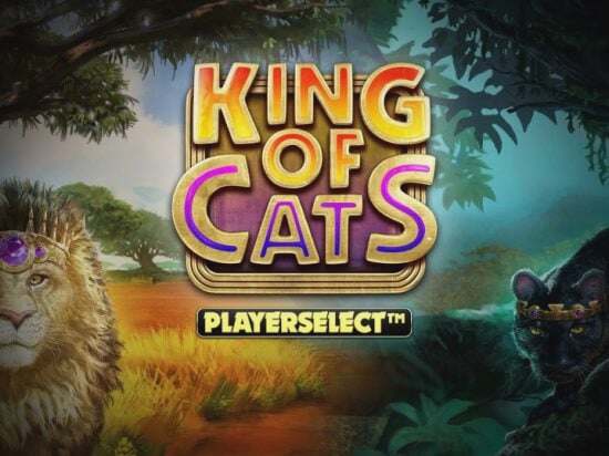 Screenshot King of Cats Megaways 2 