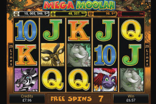 Screenshot Mega Moolah 11 