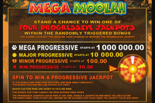 Screenshot Mega Moolah 12 