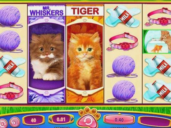 Screenshot OMG Kittens 2 