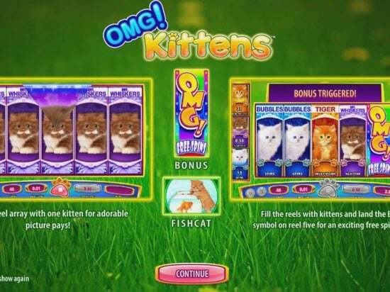 Screenshot OMG Kittens 4 