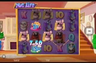 Screenshot Pug Life 2 