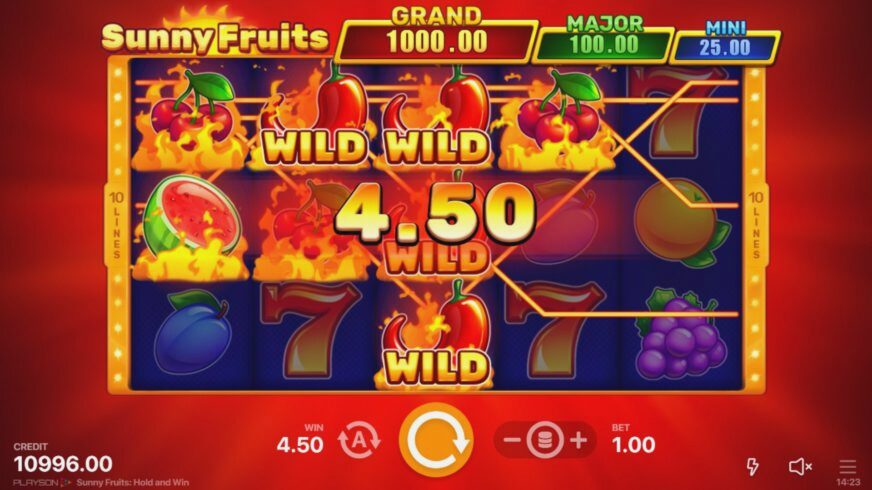 Screenshot Sunny Fruits: Hold and Win 2 