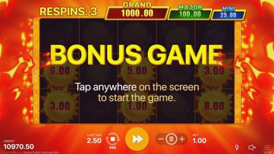 Screenshot Sunny Fruits: Hold and Win 3 