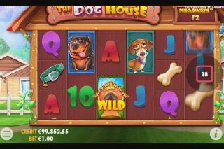 Screenshot The Dog House Megaways 1 