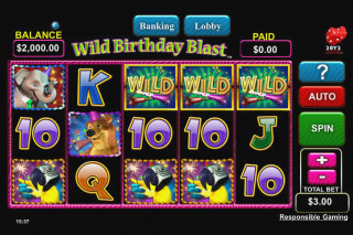 Screenshot Wild Birthday Blast 1 