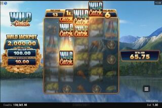 Screenshot Wild Catch 3 