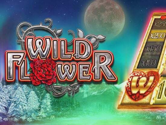 Screenshot Wild Flower 2 