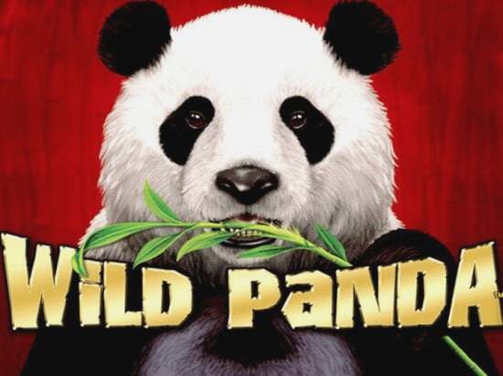 Screenshot Wild Panda 1 