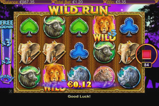 Screenshot Wild Run 2 