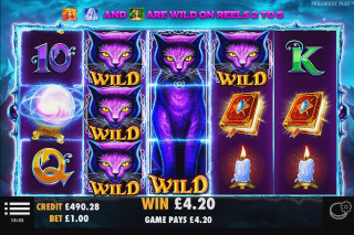 Screenshot Wild Spells 3 